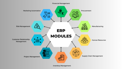 How Do ERP Modules Help Manufacturers in Their business