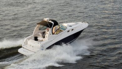 Understanding Liability and Property Coverage for Boat Insurance in Oakville